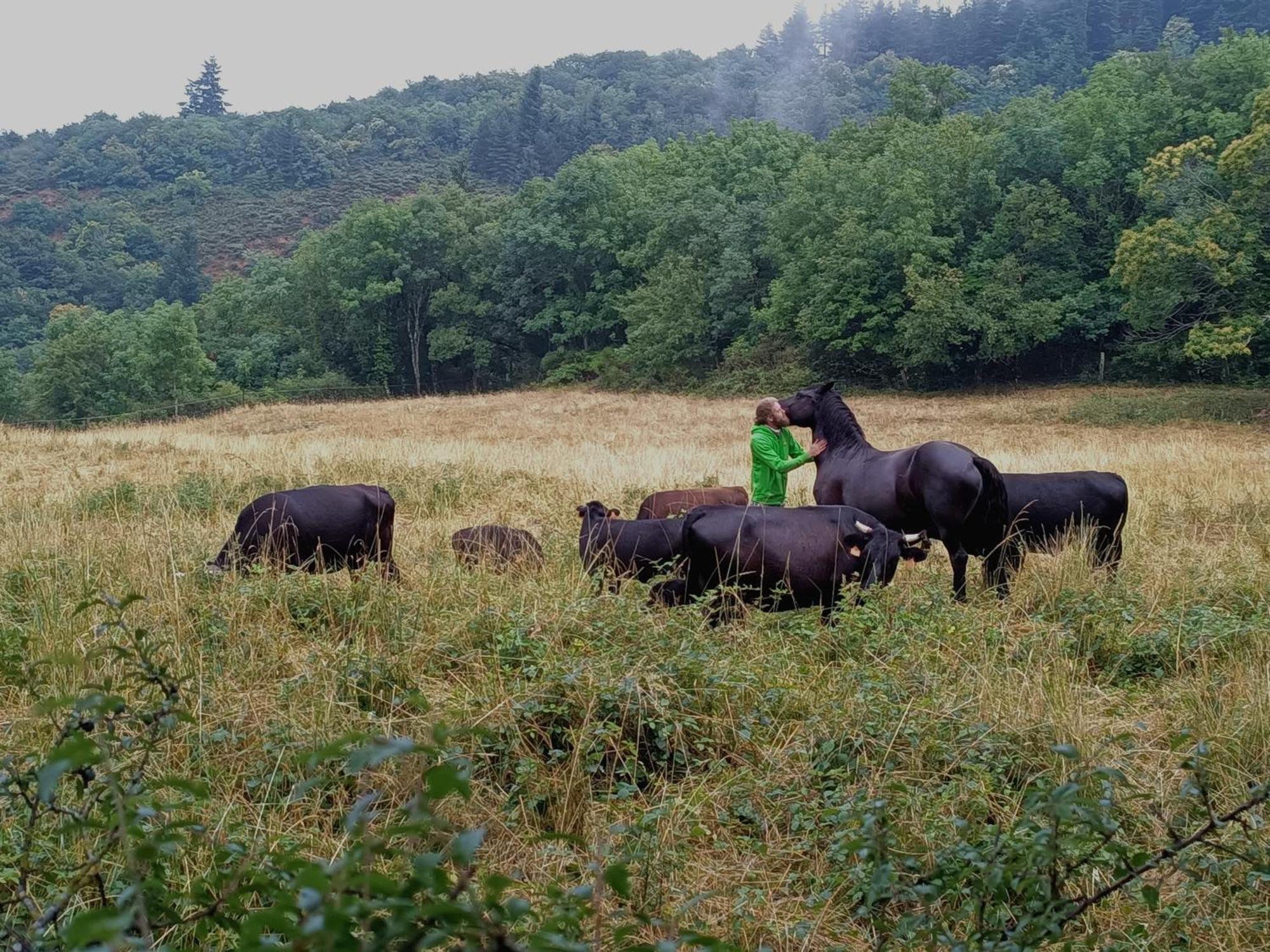 Ferme Les Therondels Saint-Pons-de-Thomieres 外观 照片